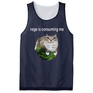 Rage Is Consuming Me Watermelon Cat Silly Cat Meme Mesh Reversible Basketball Jersey Tank