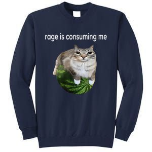 Rage Is Consuming Me Watermelon Cat Silly Cat Meme Tall Sweatshirt