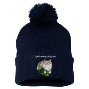 Rage Is Consuming Me Watermelon Cat Silly Cat Meme Pom Pom 12in Knit Beanie