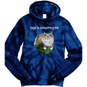 Rage Is Consuming Me Watermelon Cat Silly Cat Meme Tie Dye Hoodie