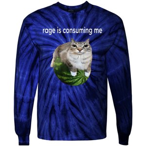 Rage Is Consuming Me Watermelon Cat Silly Cat Meme Tie-Dye Long Sleeve Shirt