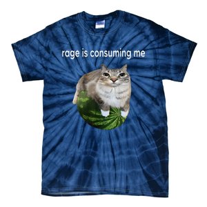 Rage Is Consuming Me Watermelon Cat Silly Cat Meme Tie-Dye T-Shirt