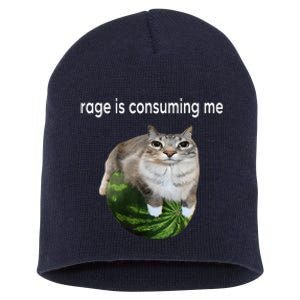 Rage Is Consuming Me Watermelon Cat Silly Cat Meme Short Acrylic Beanie