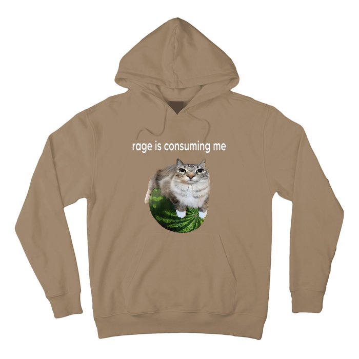 Rage Is Consuming Me Watermelon Cat Silly Cat Meme Hoodie