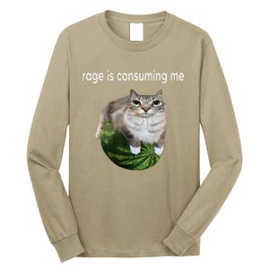 Rage Is Consuming Me Watermelon Cat Silly Cat Meme Long Sleeve Shirt