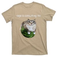 Rage Is Consuming Me Watermelon Cat Silly Cat Meme T-Shirt