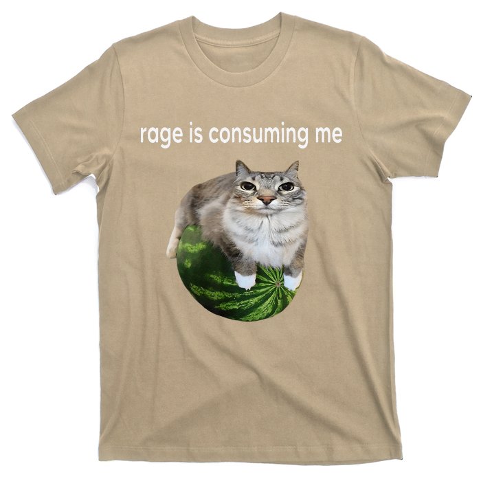 Rage Is Consuming Me Watermelon Cat Silly Cat Meme T-Shirt