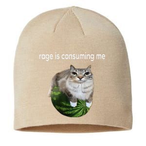 Rage Is Consuming Me Watermelon Cat Silly Cat Meme Sustainable Beanie