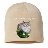 Rage Is Consuming Me Watermelon Cat Silly Cat Meme Sustainable Beanie