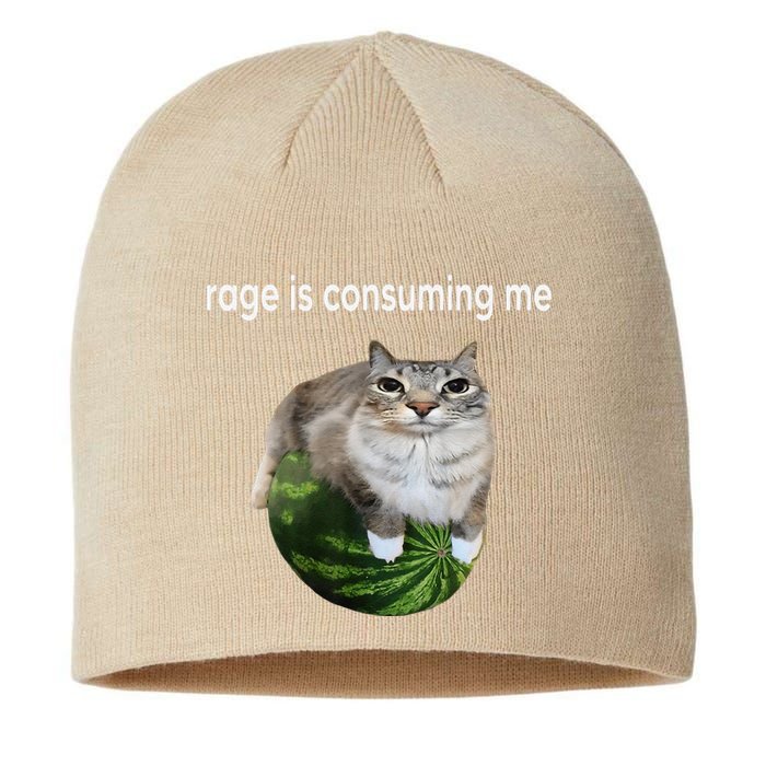 Rage Is Consuming Me Watermelon Cat Silly Cat Meme Sustainable Beanie