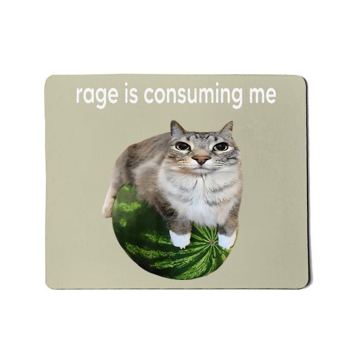 Rage Is Consuming Me Watermelon Cat Silly Cat Meme Mousepad