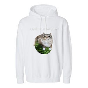 Rage Is Consuming Me Watermelon Cat Silly Cat Meme Garment-Dyed Fleece Hoodie