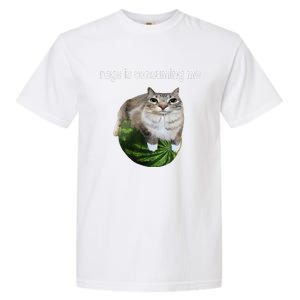 Rage Is Consuming Me Watermelon Cat Silly Cat Meme Garment-Dyed Heavyweight T-Shirt