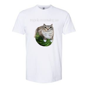 Rage Is Consuming Me Watermelon Cat Silly Cat Meme Softstyle CVC T-Shirt