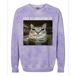 Rage Is Consuming Me Rage Cat Lovers Colorblast Crewneck Sweatshirt