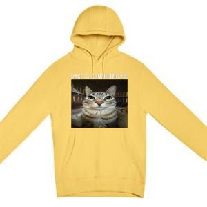 Rage Is Consuming Me Rage Cat Lovers Premium Pullover Hoodie