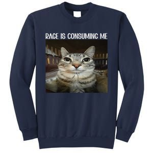 Rage Is Consuming Me Rage Cat Lovers Sweatshirt