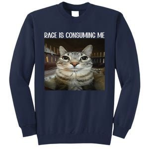 Rage Is Consuming Me Rage Cat Lovers Tall Sweatshirt