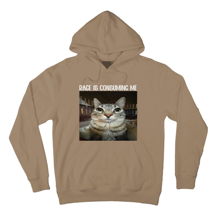 Rage Is Consuming Me Rage Cat Lovers Hoodie