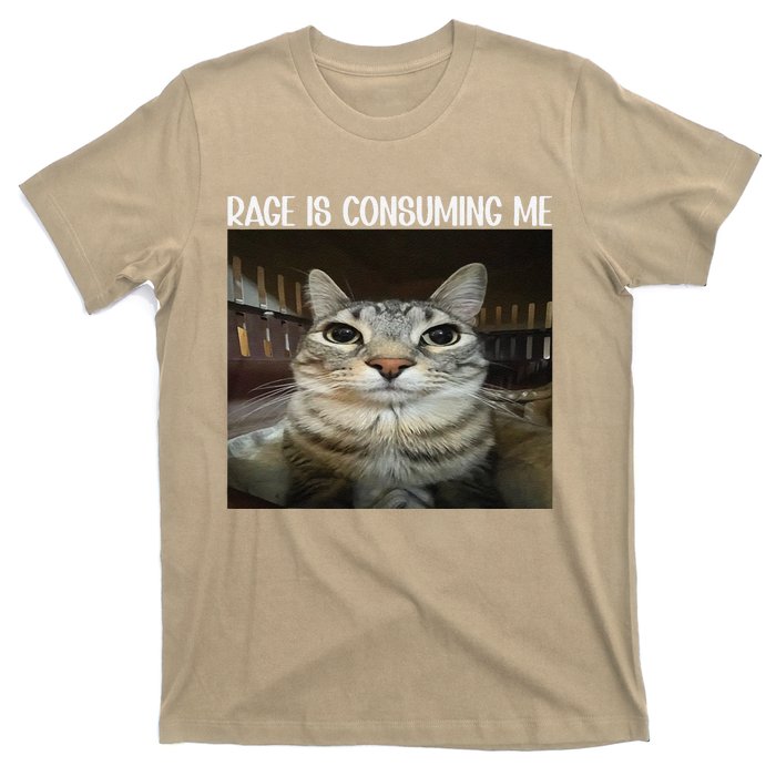 Rage Is Consuming Me Rage Cat Lovers T-Shirt