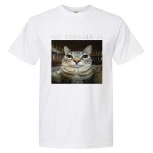 Rage Is Consuming Me Rage Cat Lovers Garment-Dyed Heavyweight T-Shirt