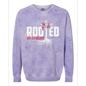 Rooted In Christ Christian Faith Religious Jesus Christ Colorblast Crewneck Sweatshirt