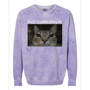 Rage Is Consuming Me Cat Meme Silly Staring Cat Funny Meme Colorblast Crewneck Sweatshirt