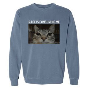 Rage Is Consuming Me Cat Meme Silly Staring Cat Funny Meme Garment-Dyed Sweatshirt