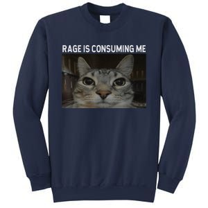 Rage Is Consuming Me Cat Meme Silly Staring Cat Funny Meme Sweatshirt