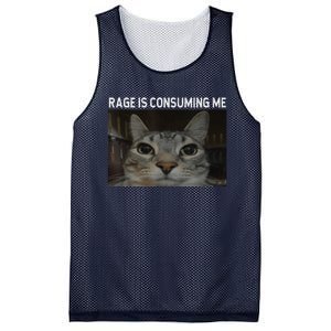 Rage Is Consuming Me Cat Meme Silly Staring Cat Funny Meme Mesh Reversible Basketball Jersey Tank