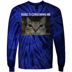 Rage Is Consuming Me Cat Meme Silly Staring Cat Funny Meme Tie-Dye Long Sleeve Shirt