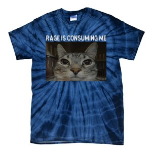 Rage Is Consuming Me Cat Meme Silly Staring Cat Funny Meme Tie-Dye T-Shirt