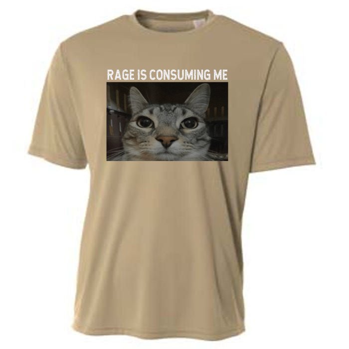 Rage Is Consuming Me Cat Meme Silly Staring Cat Funny Meme Cooling Performance Crew T-Shirt