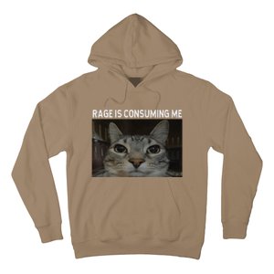 Rage Is Consuming Me Cat Meme Silly Staring Cat Funny Meme Hoodie