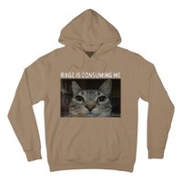 Rage Is Consuming Me Cat Meme Silly Staring Cat Funny Meme Hoodie