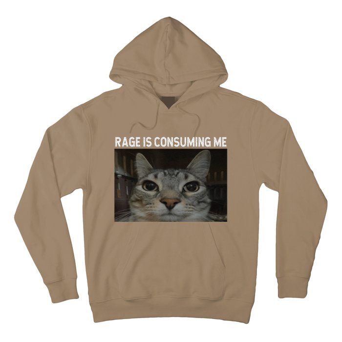 Rage Is Consuming Me Cat Meme Silly Staring Cat Funny Meme Hoodie