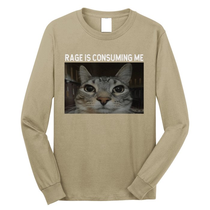 Rage Is Consuming Me Cat Meme Silly Staring Cat Funny Meme Long Sleeve Shirt