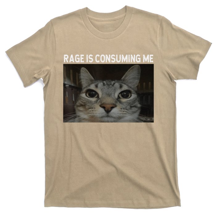 Rage Is Consuming Me Cat Meme Silly Staring Cat Funny Meme T-Shirt