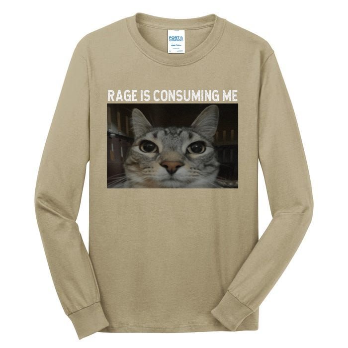 Rage Is Consuming Me Cat Meme Silly Staring Cat Funny Meme Tall Long Sleeve T-Shirt