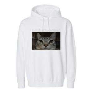 Rage Is Consuming Me Cat Meme Silly Staring Cat Funny Meme Garment-Dyed Fleece Hoodie