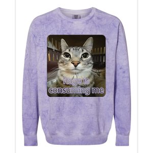 Rage Is Consuming Me Funny Silly Staring Cat Lovers Meme Colorblast Crewneck Sweatshirt