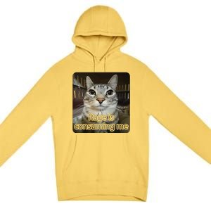 Rage Is Consuming Me Funny Silly Staring Cat Lovers Meme Premium Pullover Hoodie