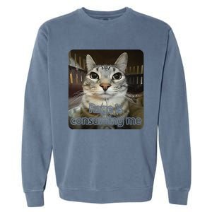 Rage Is Consuming Me Funny Silly Staring Cat Lovers Meme Garment-Dyed Sweatshirt