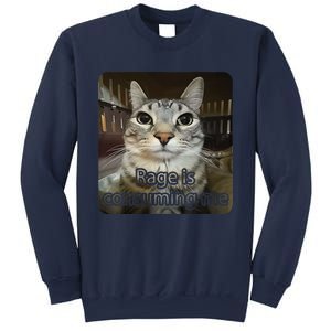 Rage Is Consuming Me Funny Silly Staring Cat Lovers Meme Sweatshirt