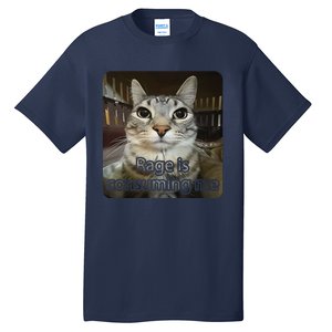 Rage Is Consuming Me Funny Silly Staring Cat Lovers Meme Tall T-Shirt