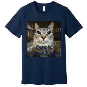 Rage Is Consuming Me Funny Silly Staring Cat Lovers Meme Premium T-Shirt