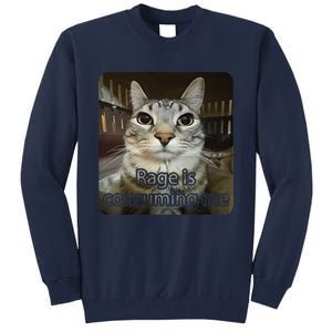 Rage Is Consuming Me Funny Silly Staring Cat Lovers Meme Tall Sweatshirt