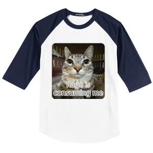 Rage Is Consuming Me Funny Silly Staring Cat Lovers Meme Baseball Sleeve Shirt