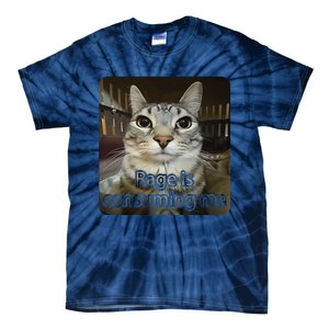 Rage Is Consuming Me Funny Silly Staring Cat Lovers Meme Tie-Dye T-Shirt