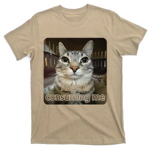 Rage Is Consuming Me Funny Silly Staring Cat Lovers Meme T-Shirt